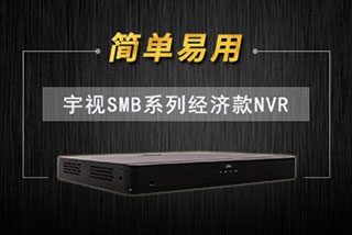 亚盈SMB系列经济款NVR